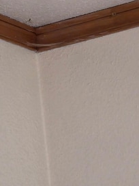 A spider set up his own little resting space in the corner over the bed.