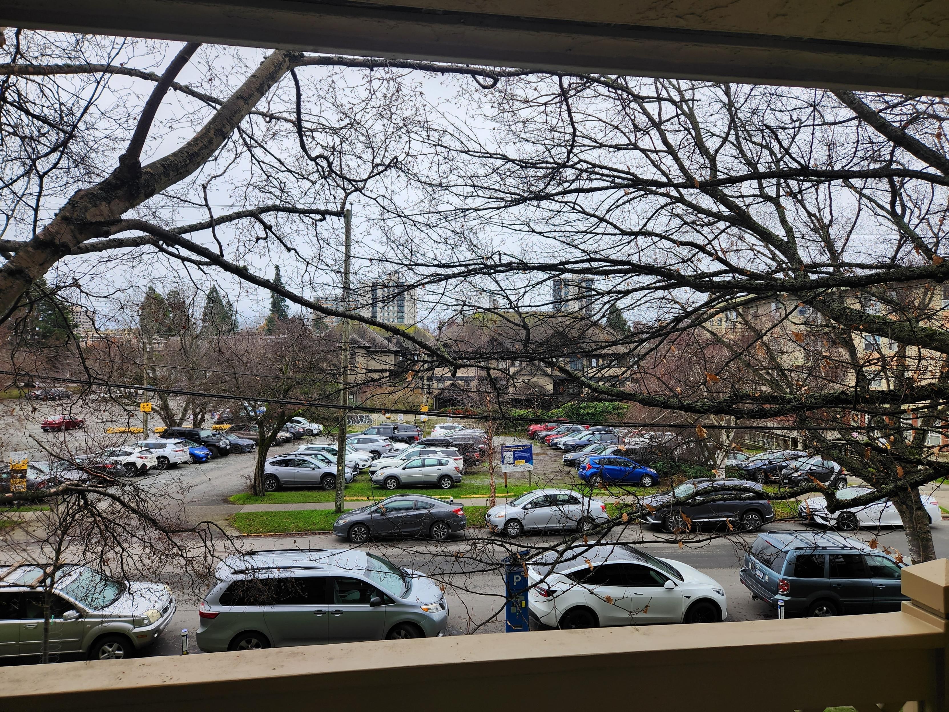 View from 2nd level balcony (rm 230)