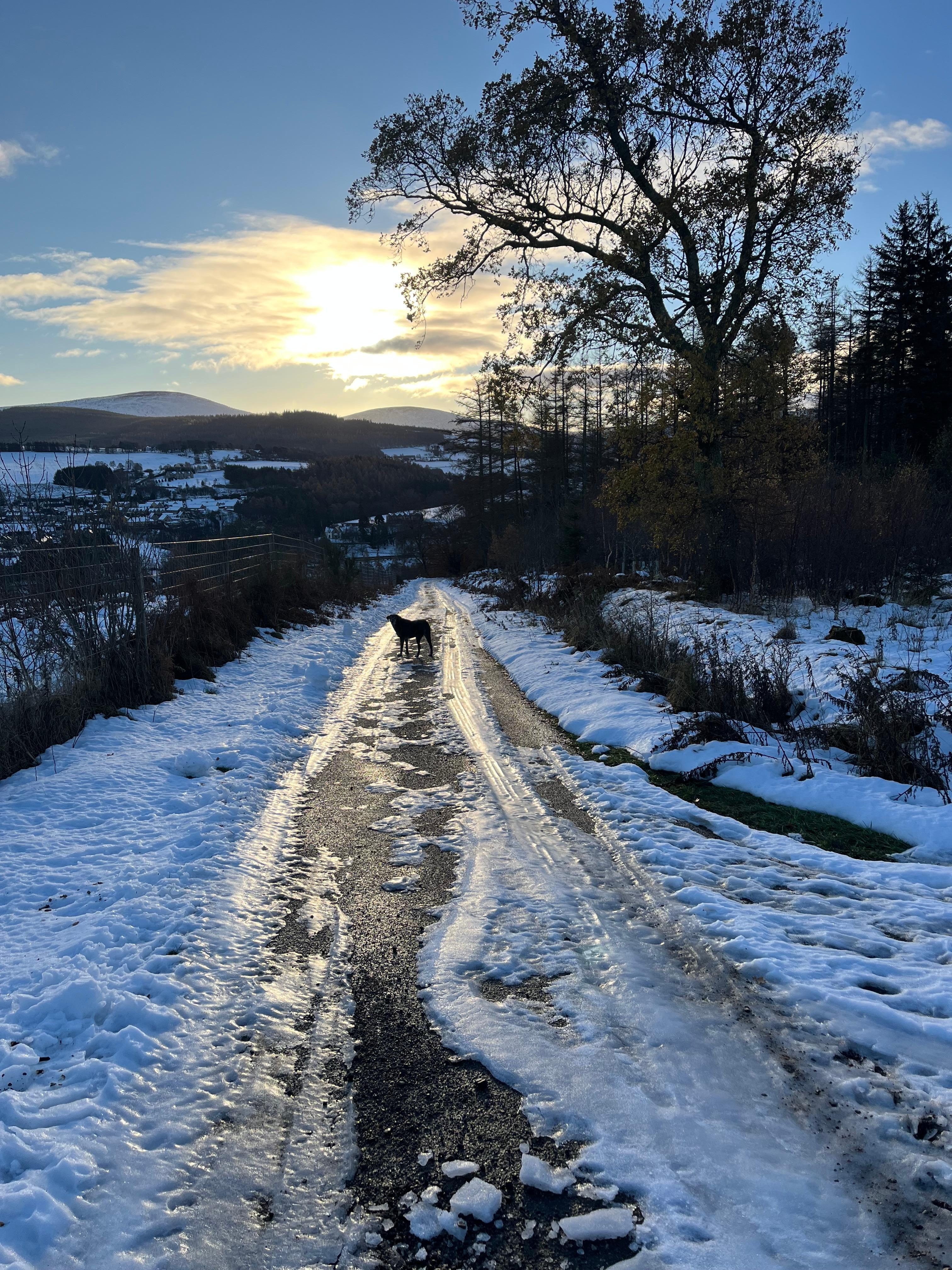 Next morning after the thaw and overnight freeze, glazed road with black ice