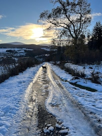 Next morning after the thaw and overnight freeze, glazed road with black ice