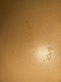 Mystery red splatter on wall, food? Bodily? Who knows…