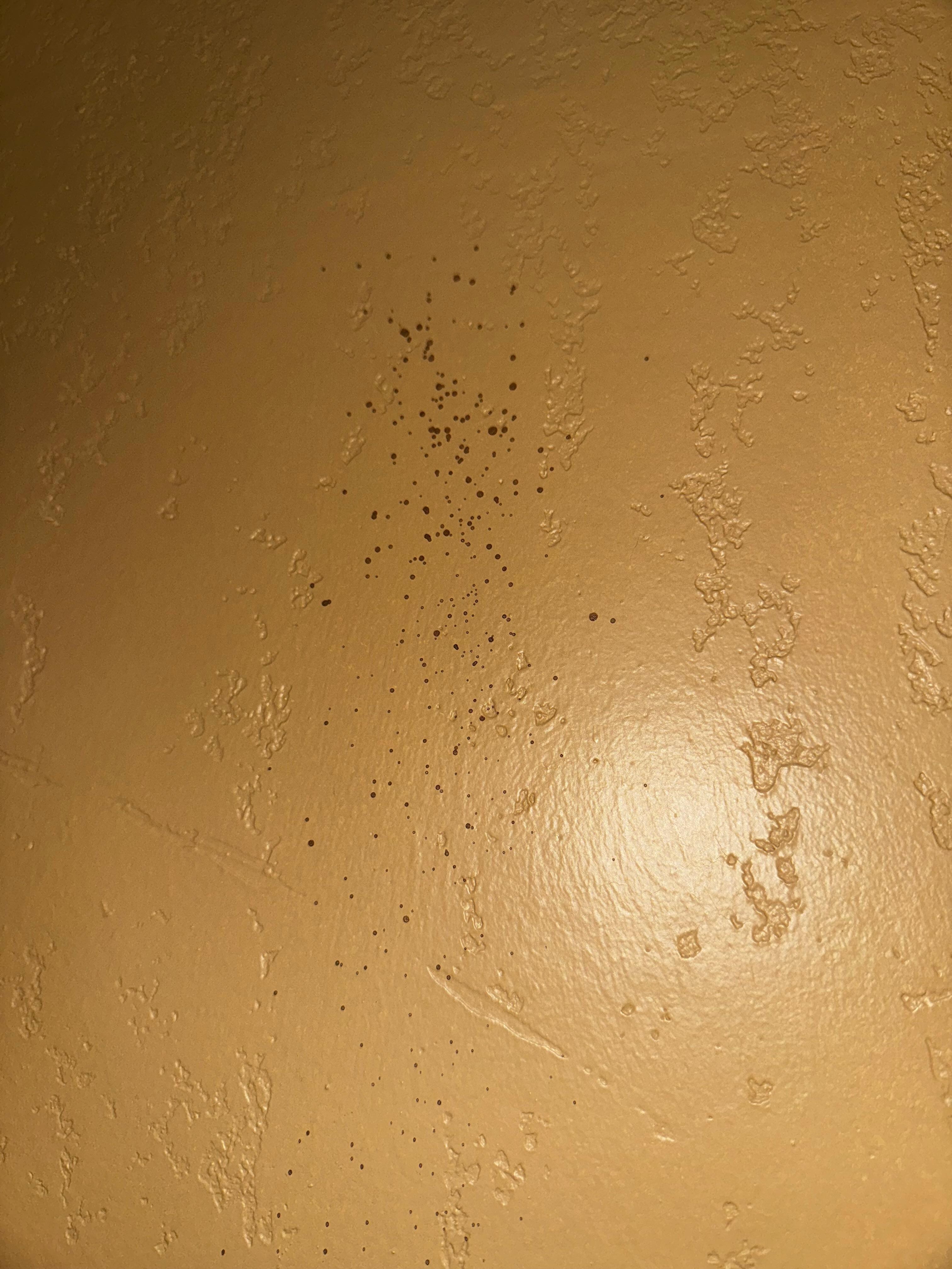 Mystery red splatter on wall, food? Bodily? Who knows…