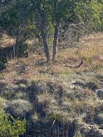 On my walk along the road.