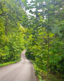 Absolutely beautiful scenery all around. The drive was very peaceful