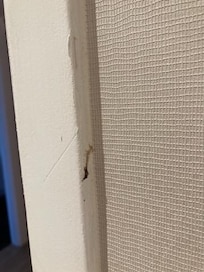 what is that on the wall? ugh