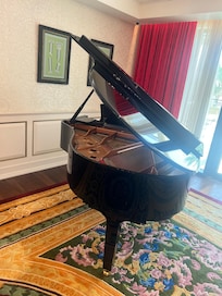 Piano in Executive Lounge