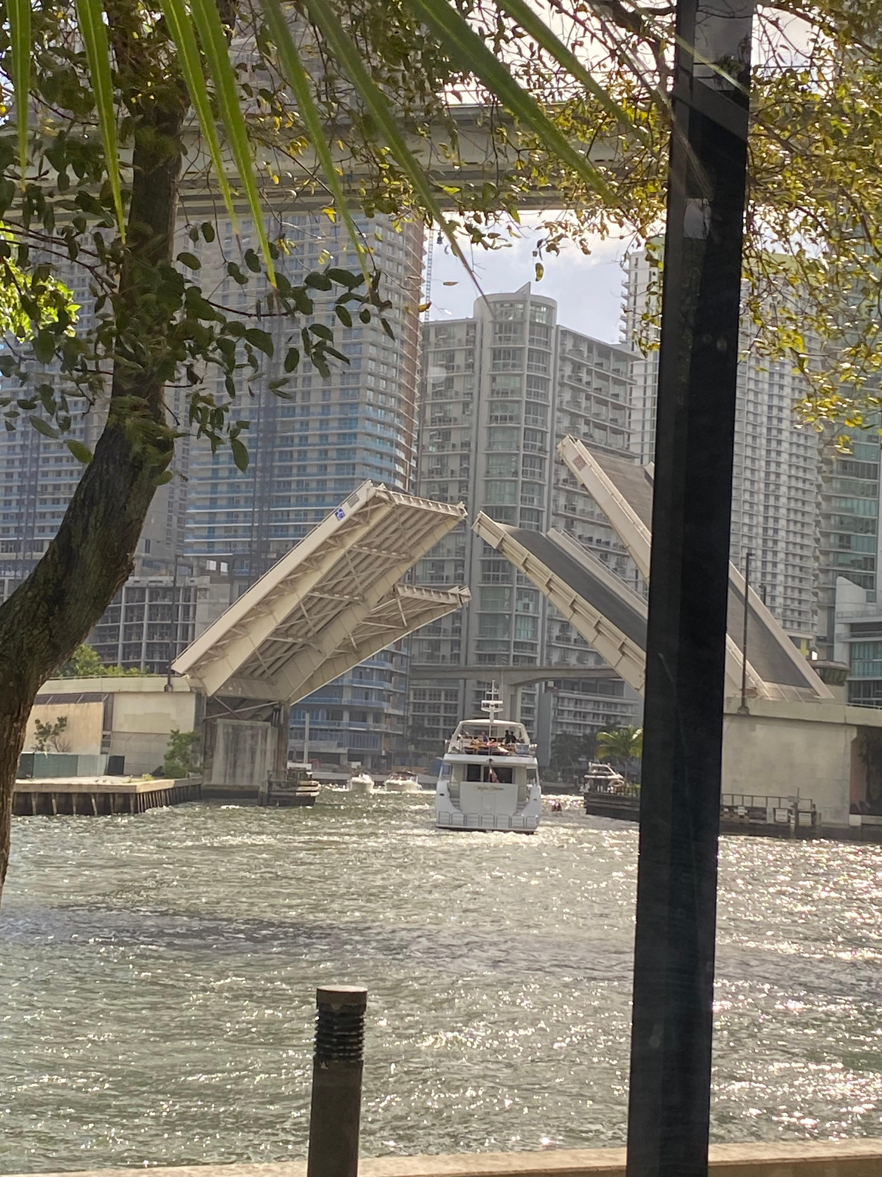 View from the restaurant lobby