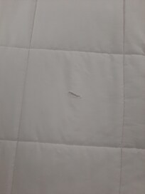 comforter