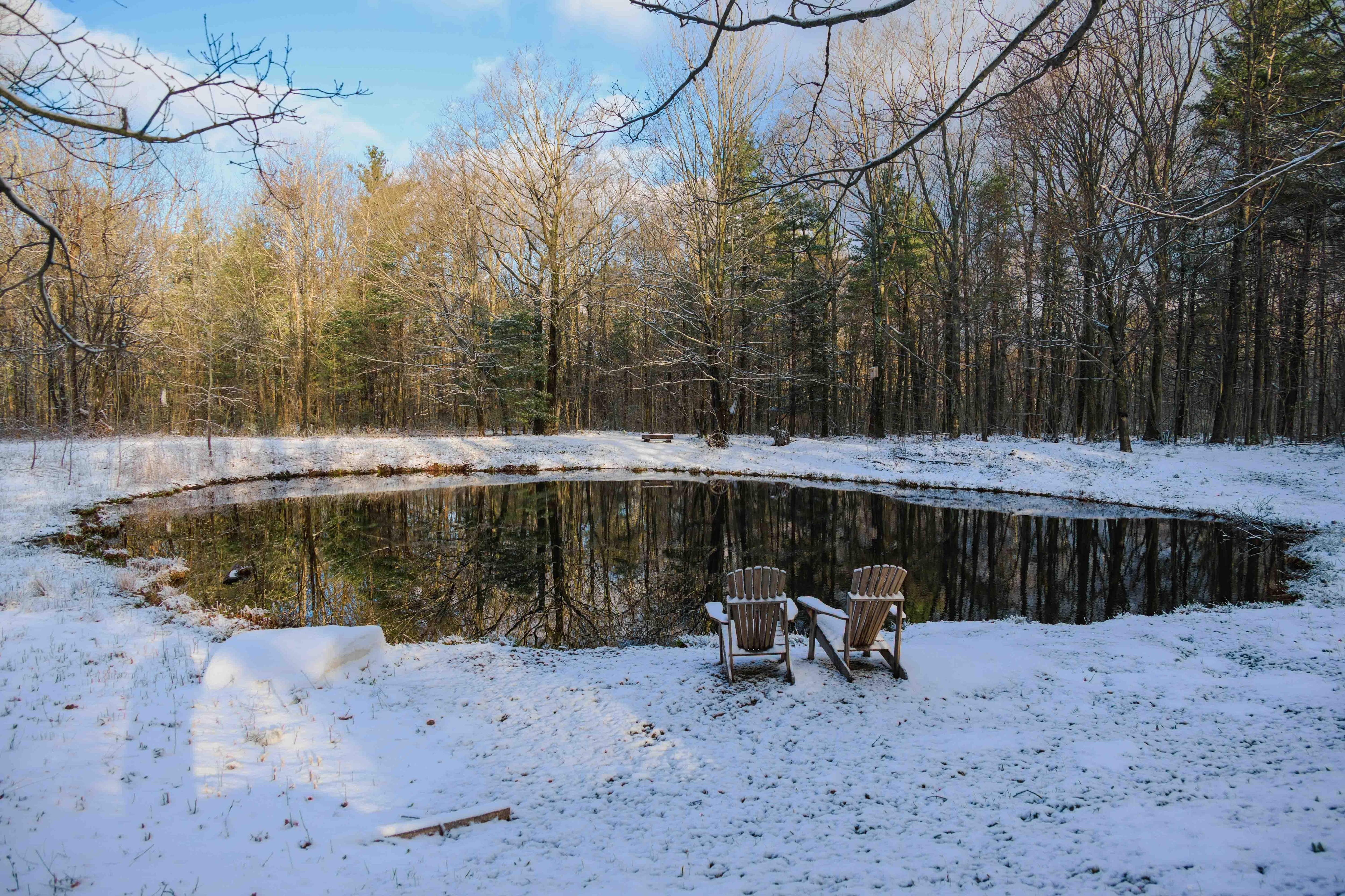 Snowy pond
