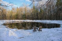 Snowy pond