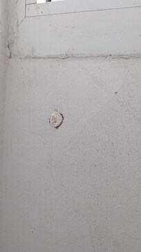 A hole in the wall - I filled it with paper to stop bugs and cold from coming in.