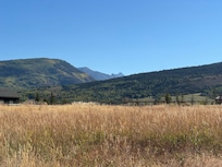 Peaceful backyard view