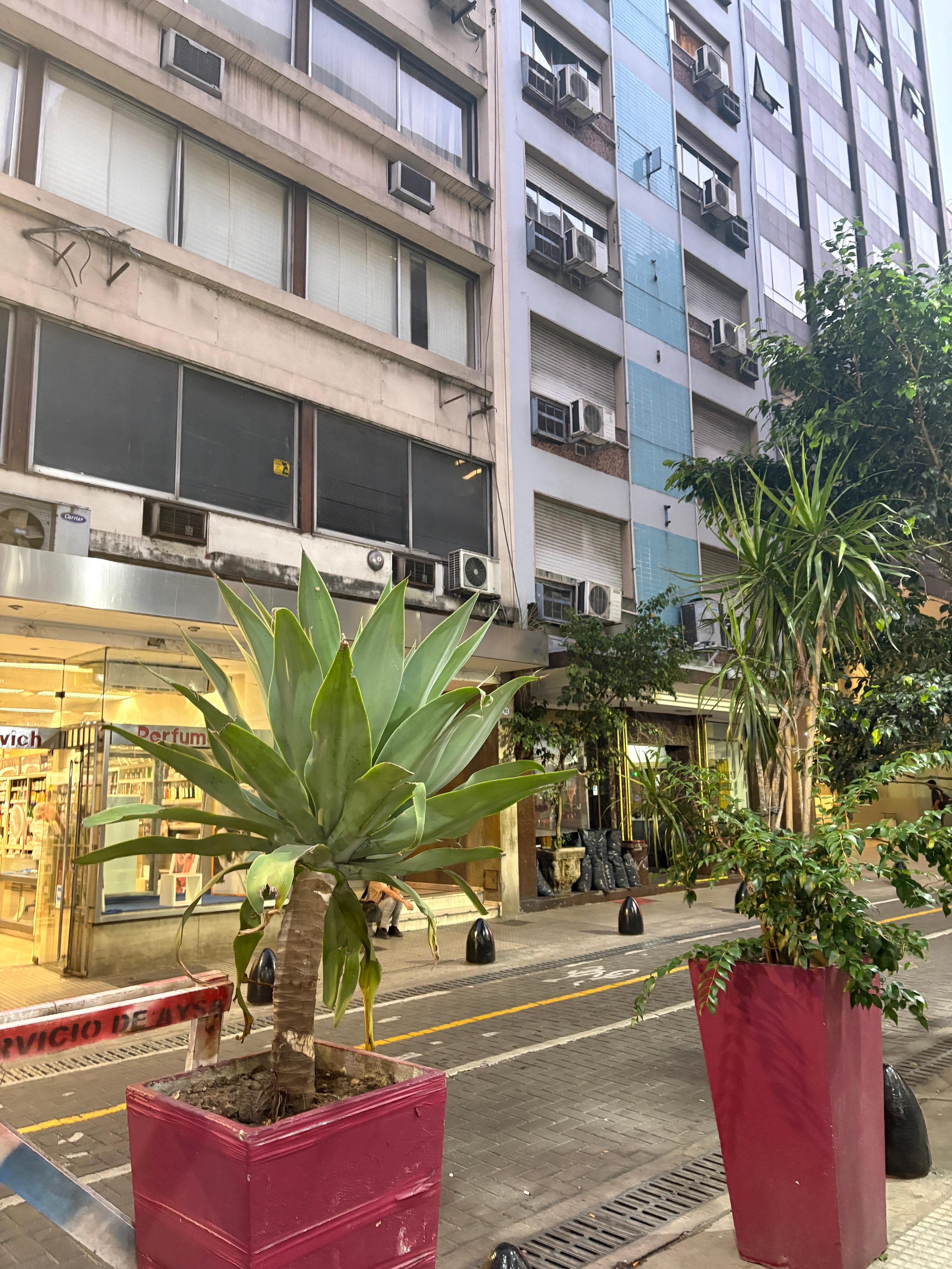 Area around the hotel