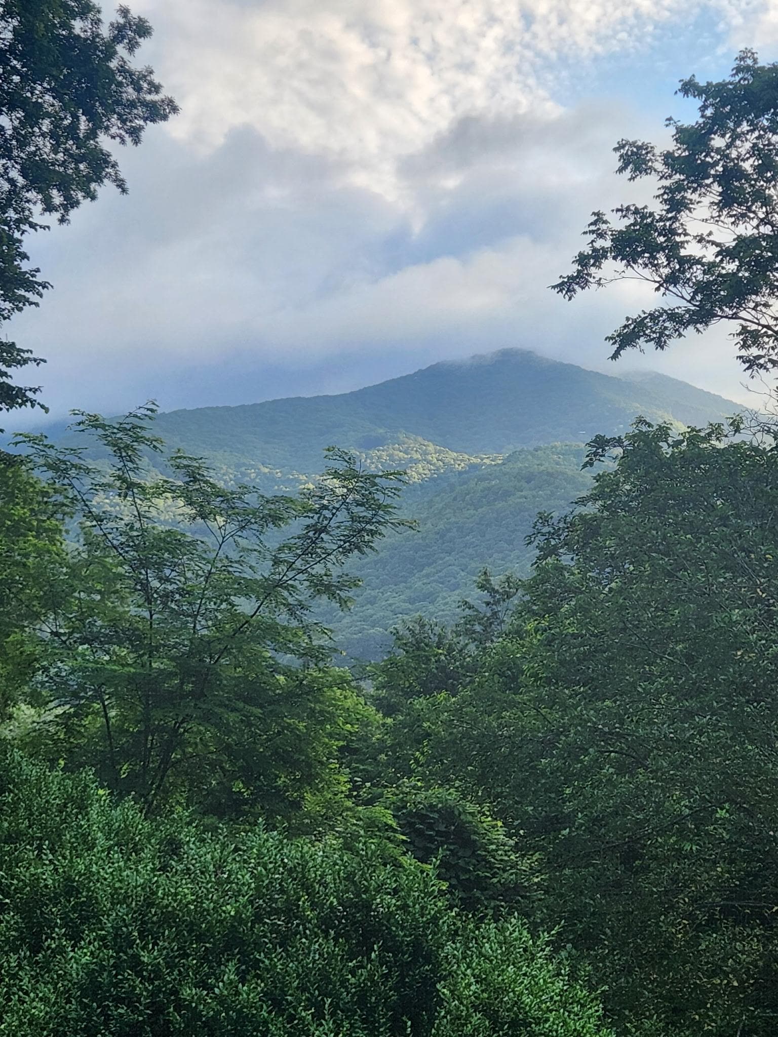 View when having coffee on the frint proch the first morning