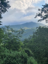 View when having coffee on the frint proch the first morning