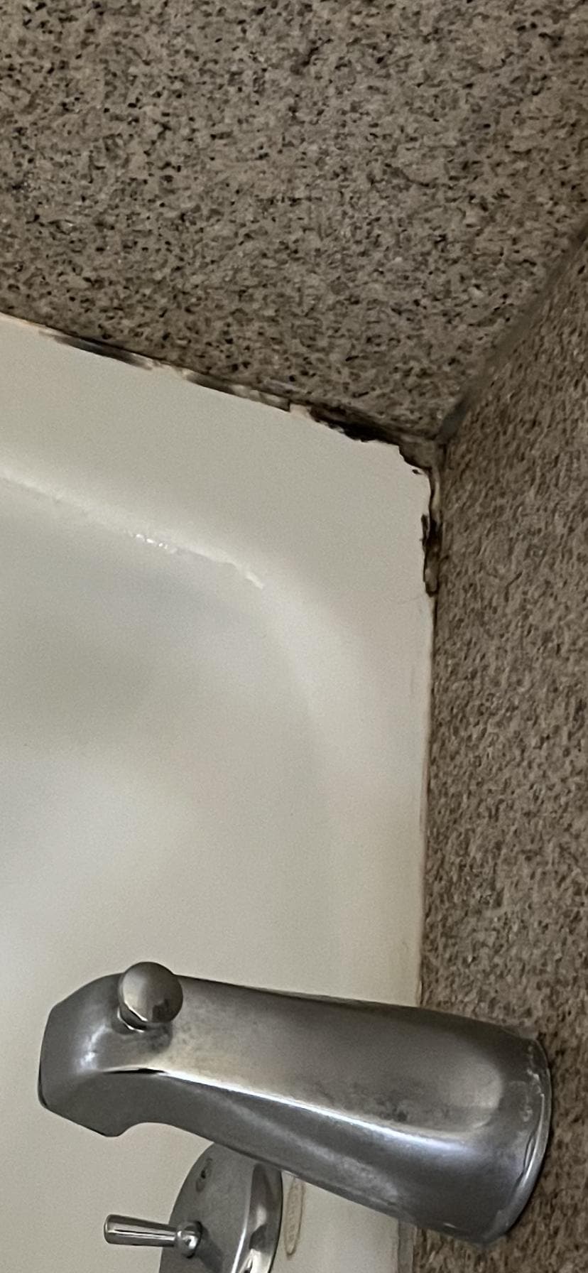 Mold around tub