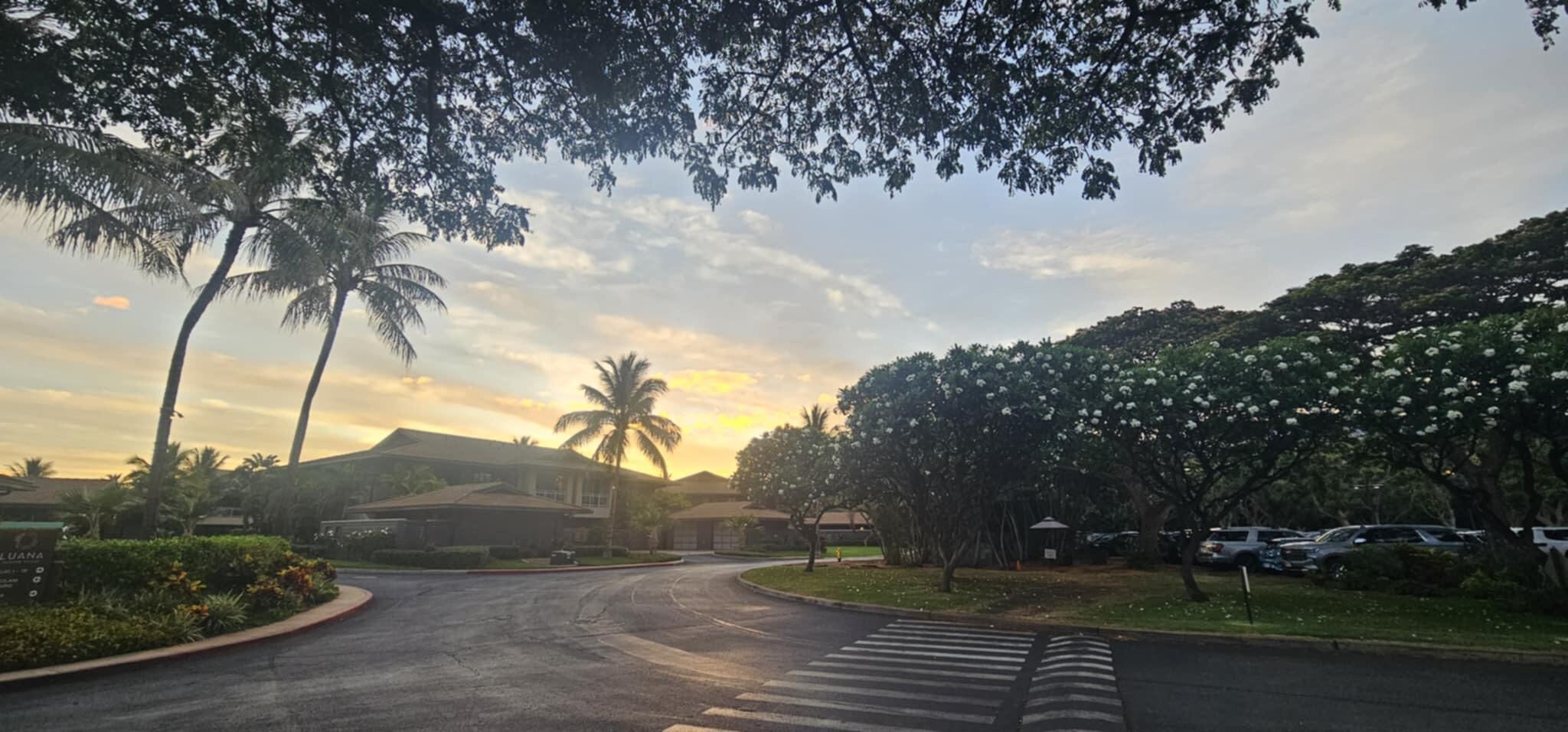 front of the resort 