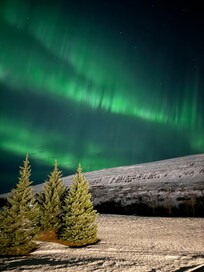 Nordlichter von Eingang aus beobachtet