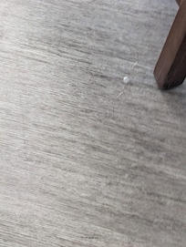 Mucus on the floor and bed, looking like someone is asleep in it.