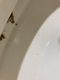 Toilet bowl rm 138