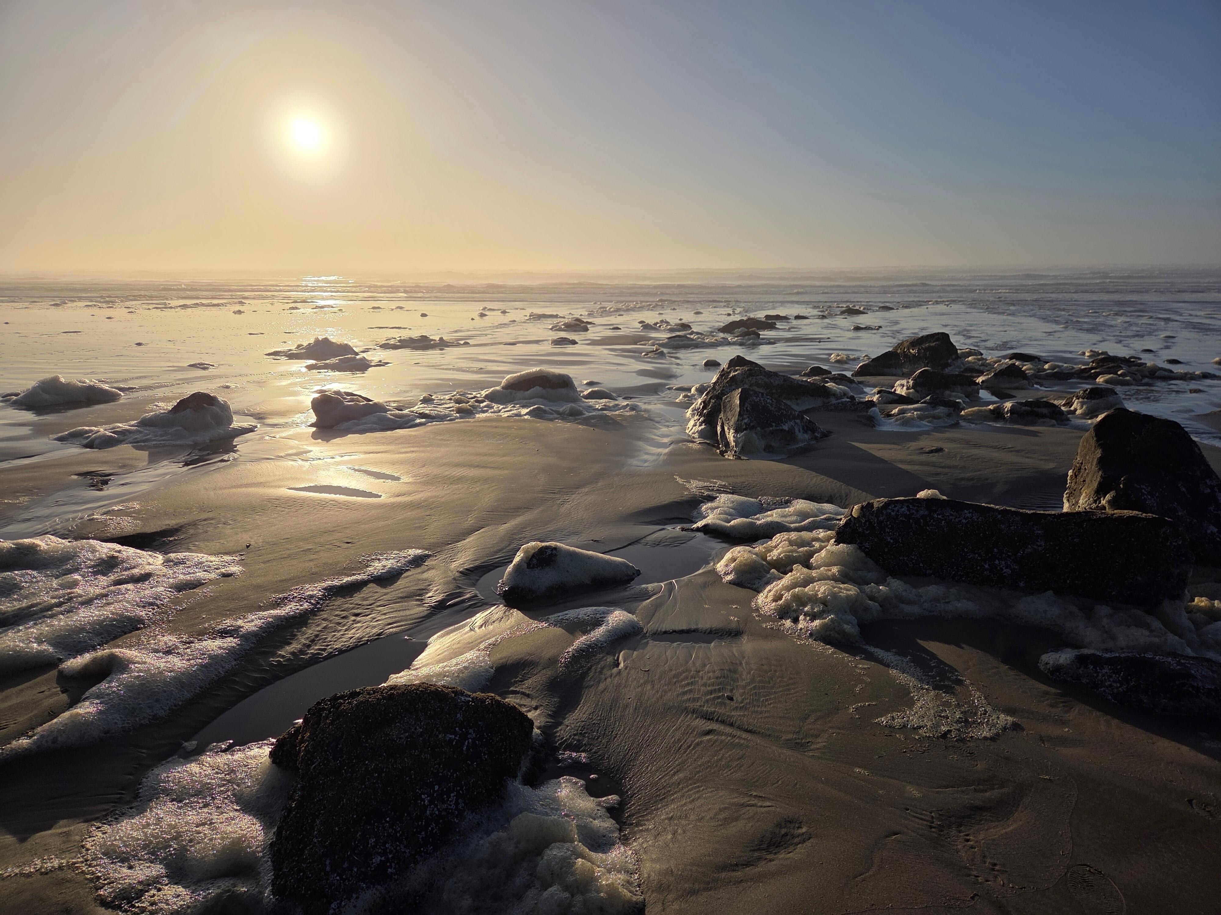 The tide pools were all filled with sand from storm surge and high tide. The beach was still lovely to walk on at low tide 
