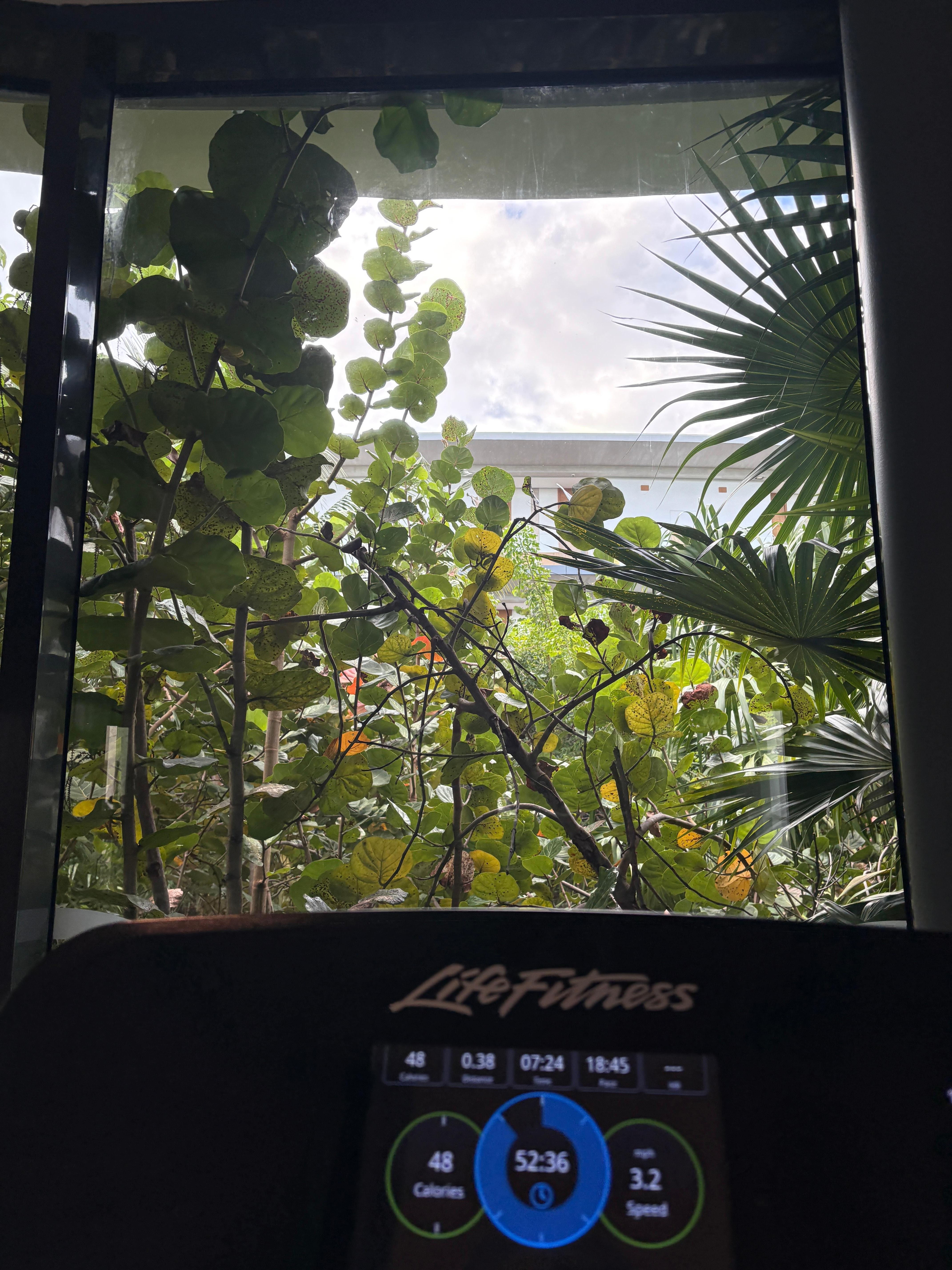 Good gym! Would be nice to have a stairmaster and more cardio machines. 2 out of 5 treadmills were broken.