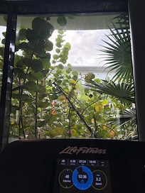 Good gym! Would be nice to have a stairmaster and more cardio machines. 2 out of 5 treadmills were broken.