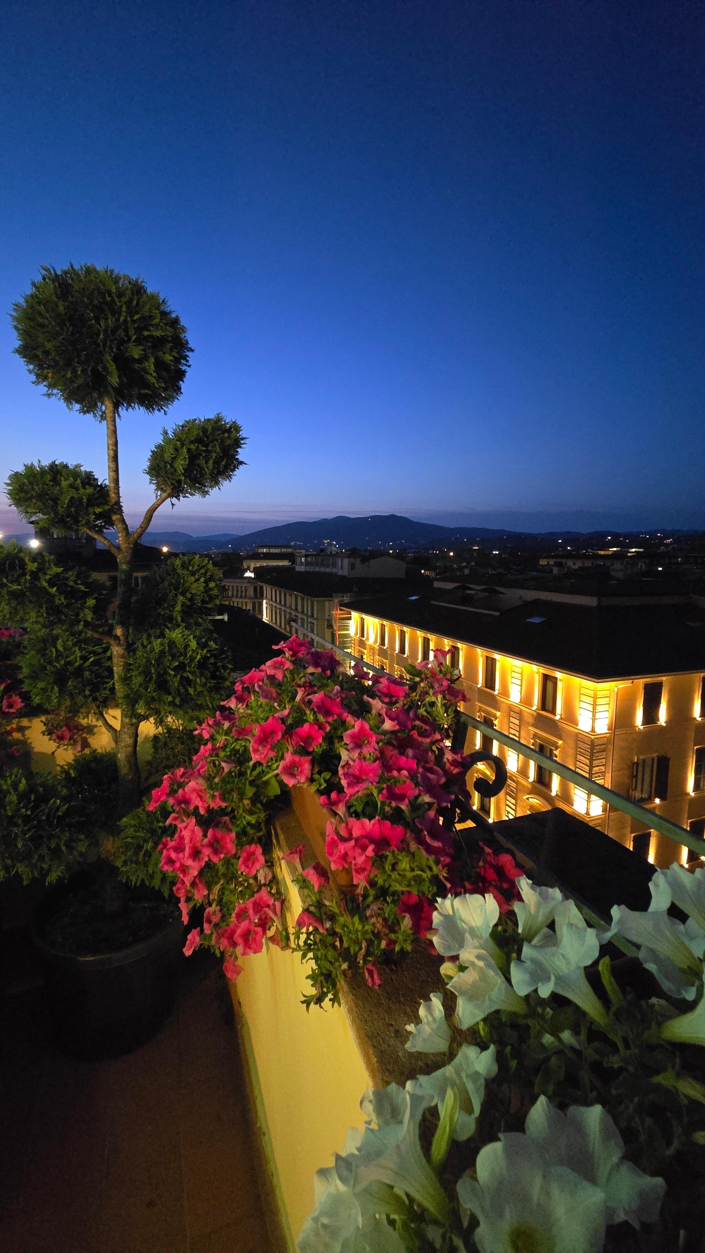 Rooftop view