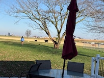 Cows greeting us in the morning