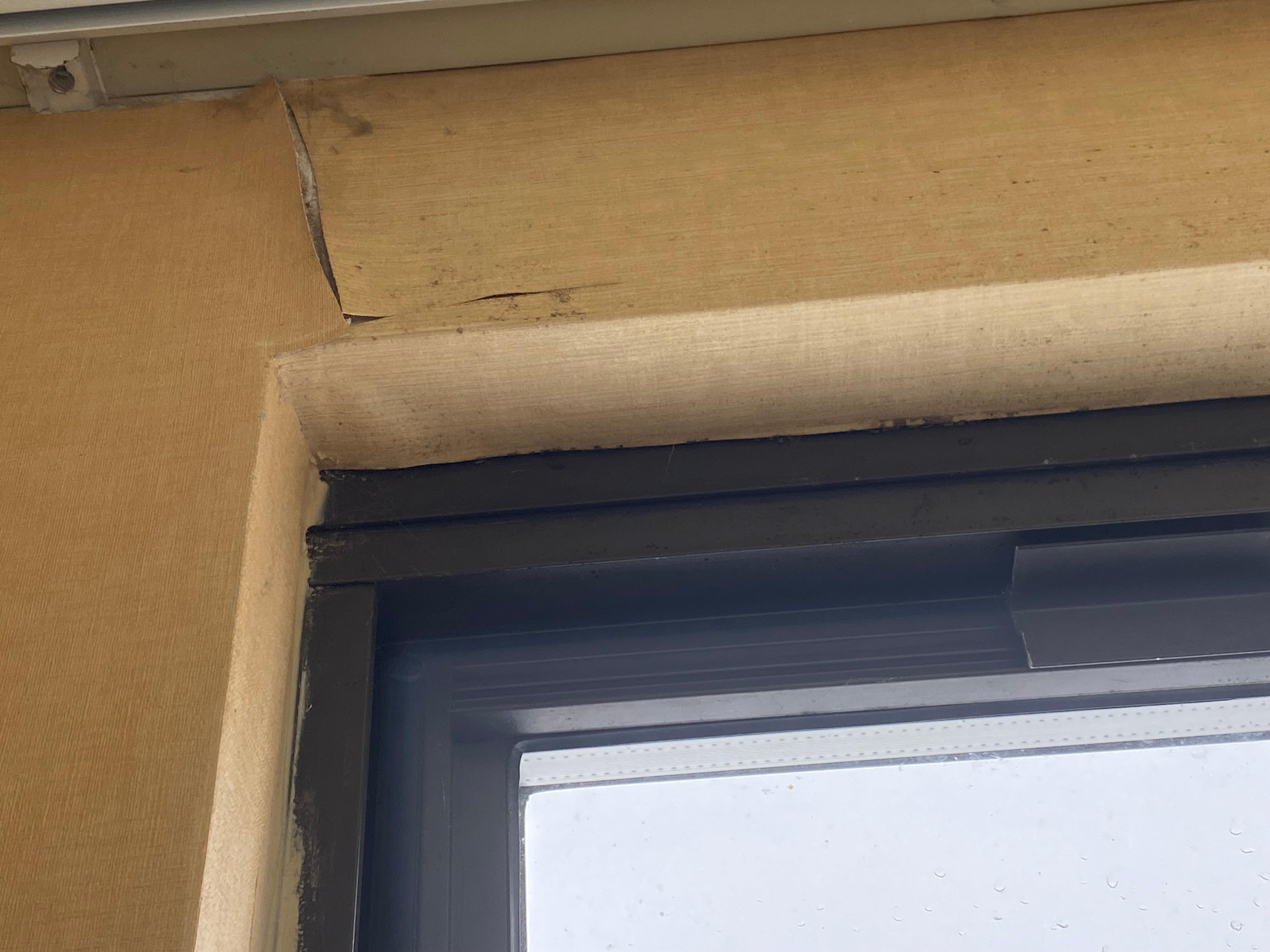 Cracked wall and mold 