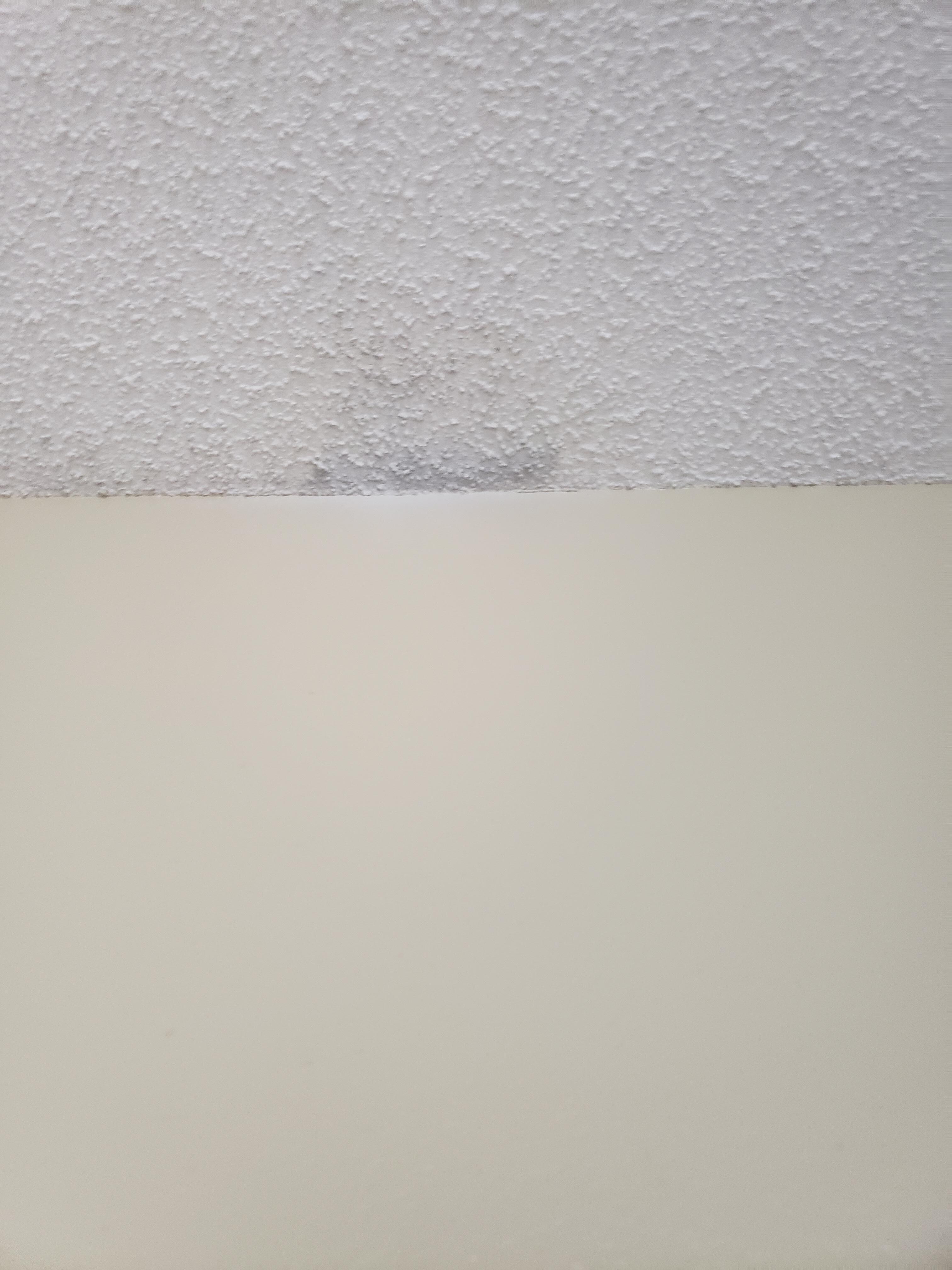Mold in bedroom