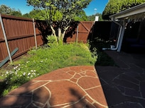 Backyard weeds