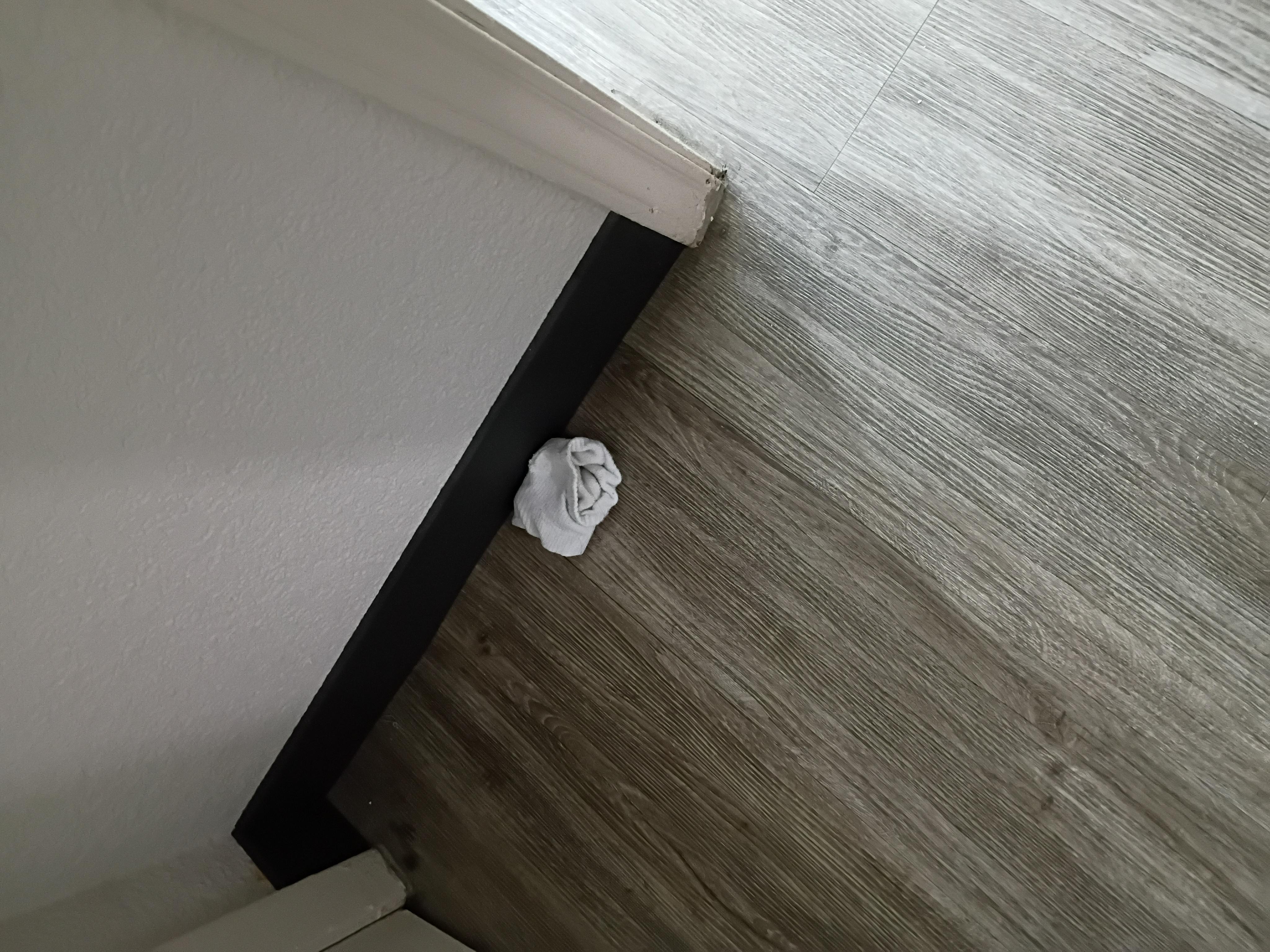 Found a sock when we walked in.