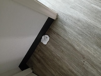 Found a sock when we walked in.