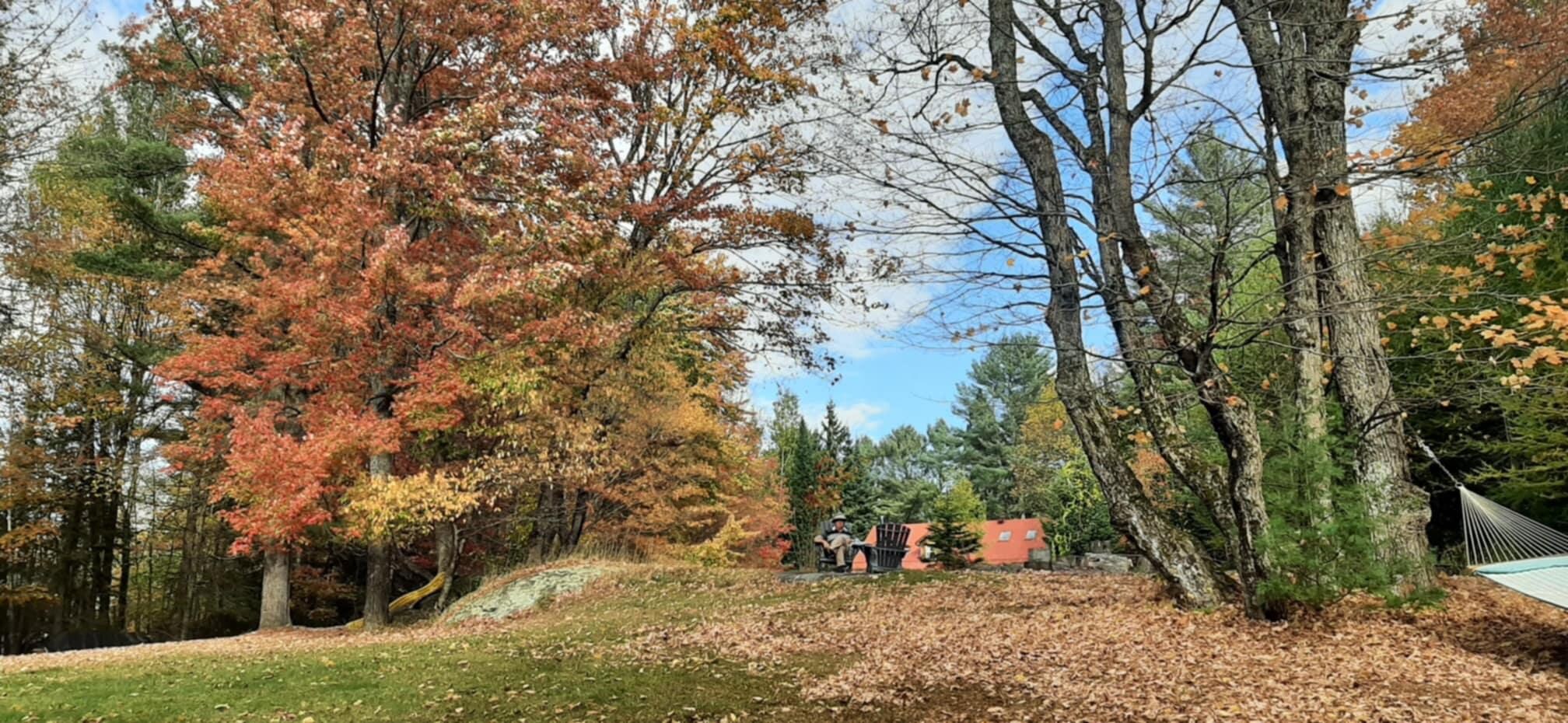 Great view of the backyard looking up to the house