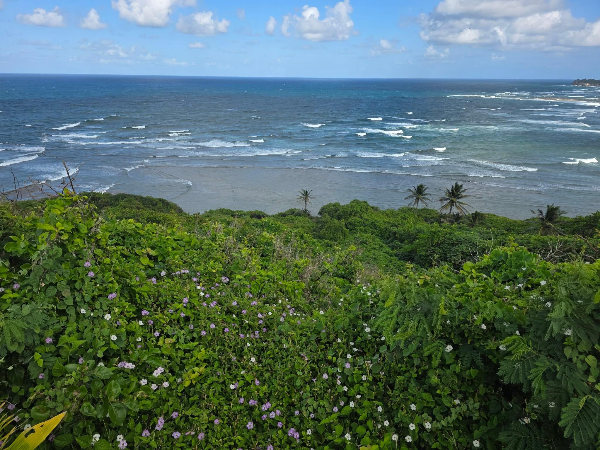 The view directly out