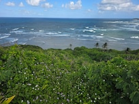 The view directly out