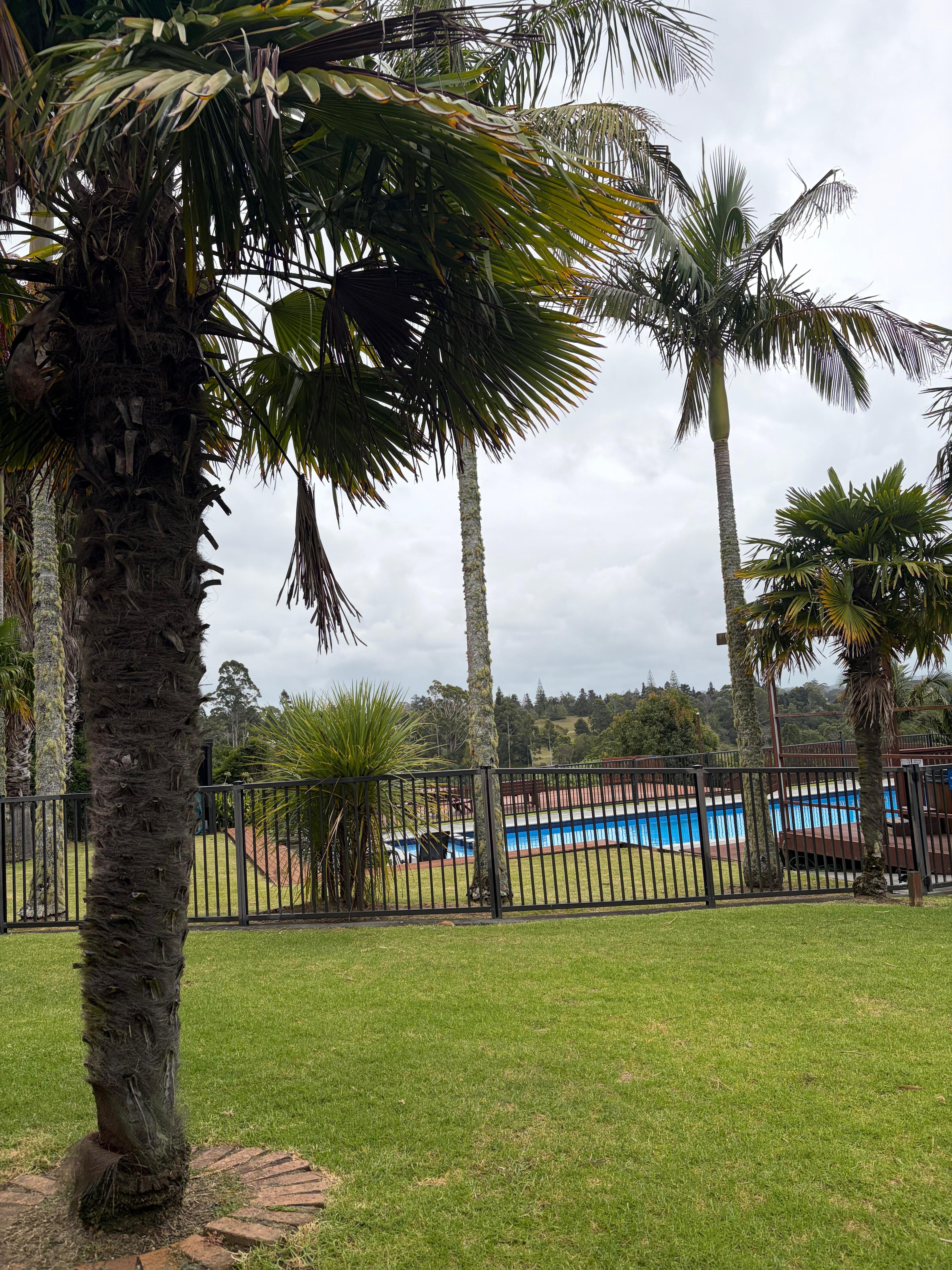 View of pool and hot tub from our room
