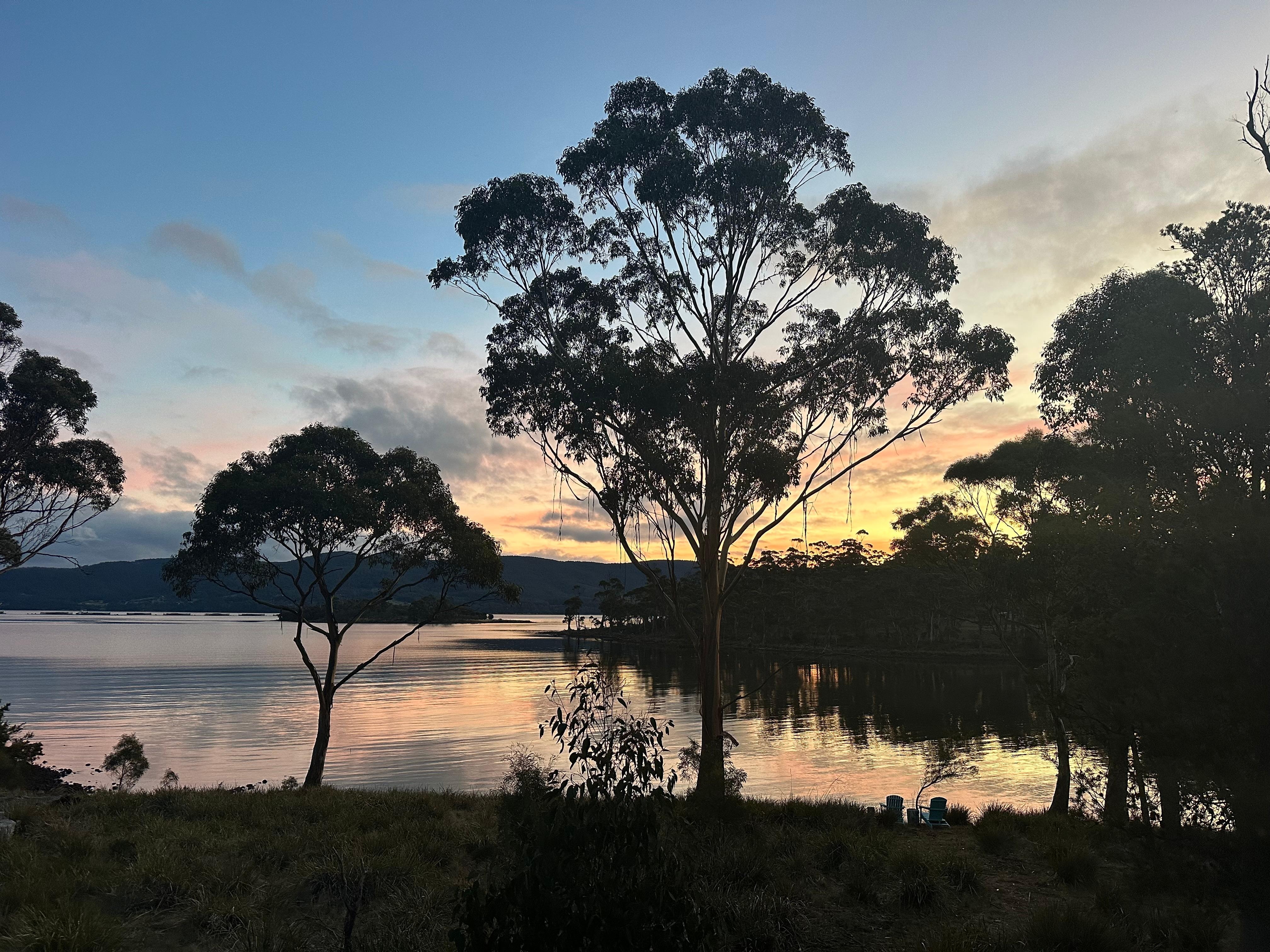 Apollo Bay at night 