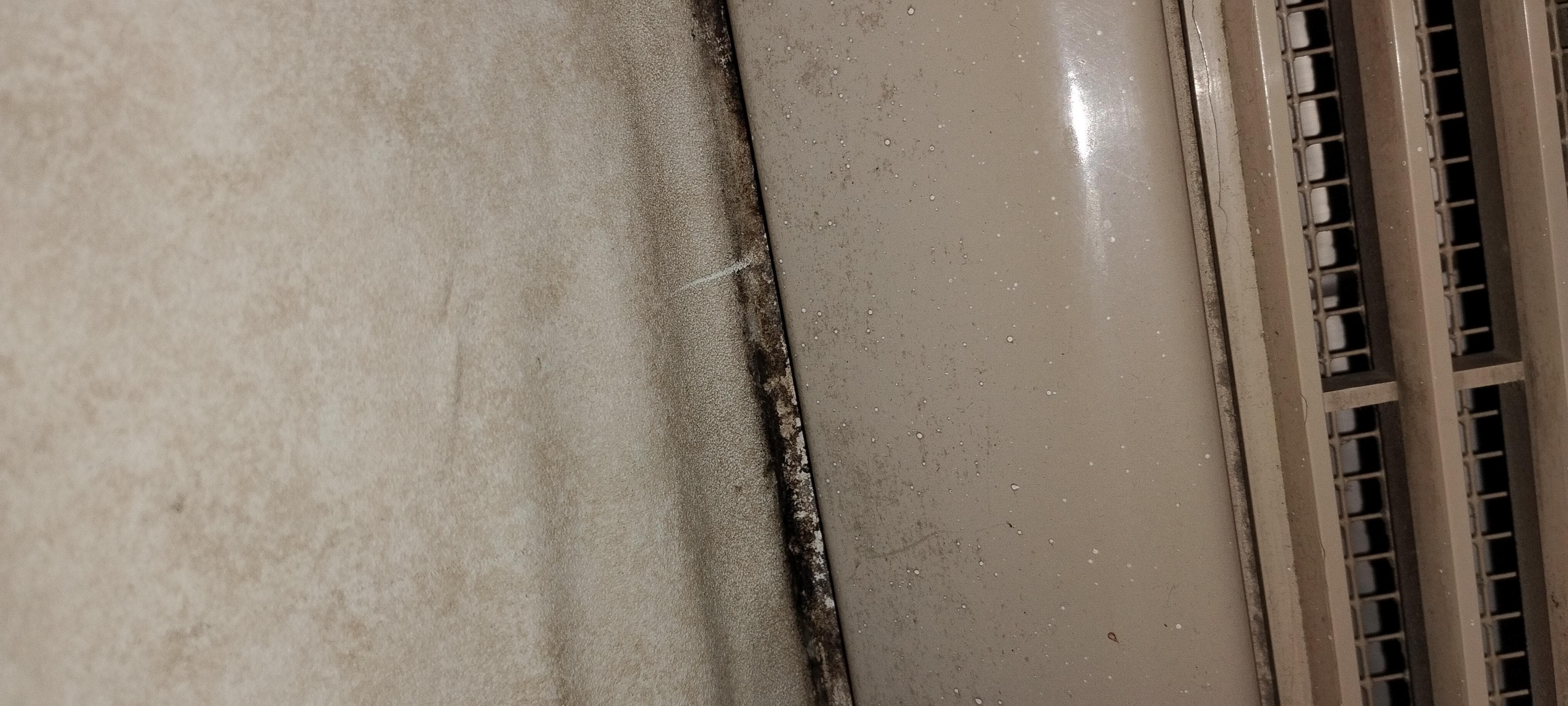 A closer view which is why I wonder about mold