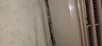 A closer view which is why I wonder about mold