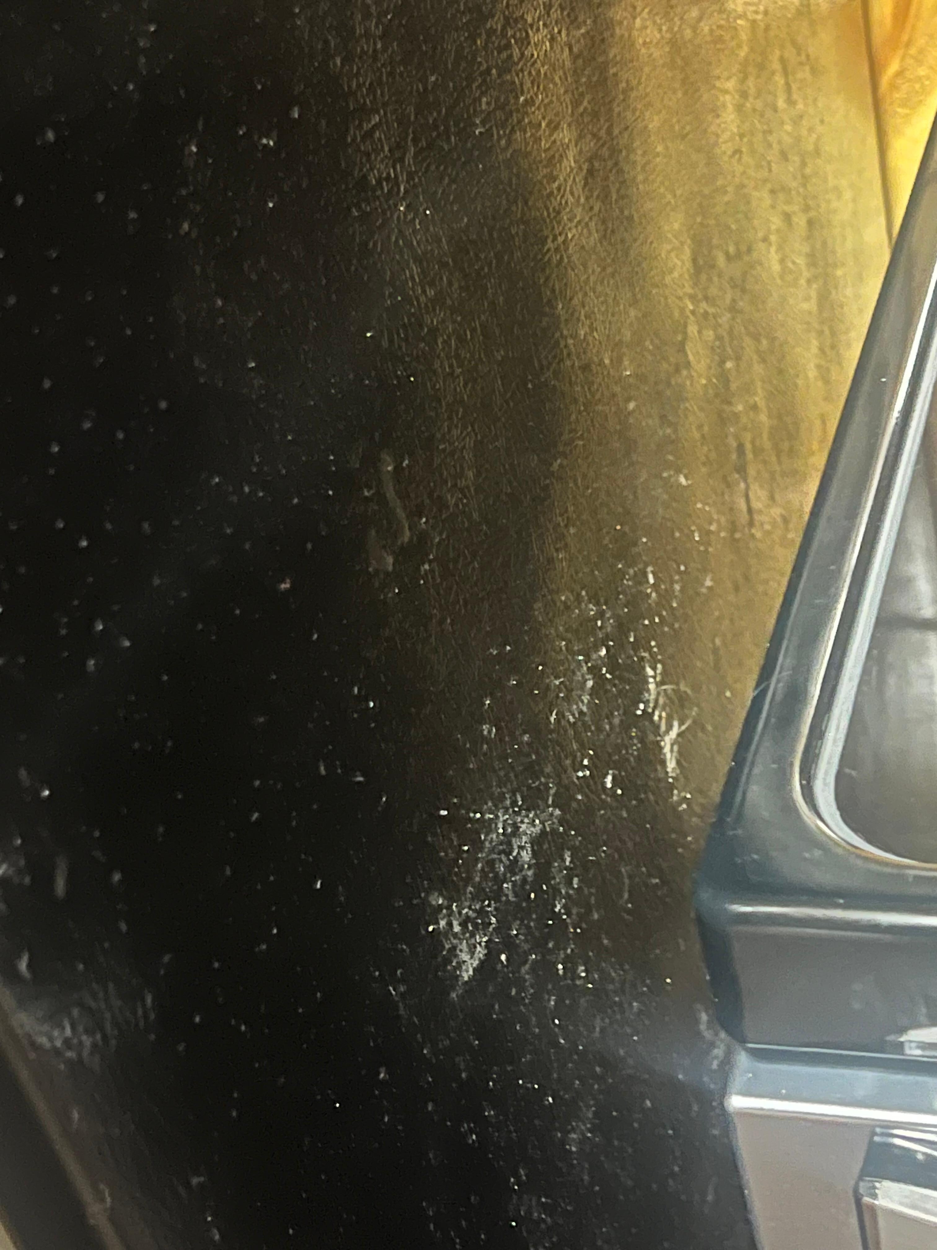 Outside of the fridge with dust, dirt and hair