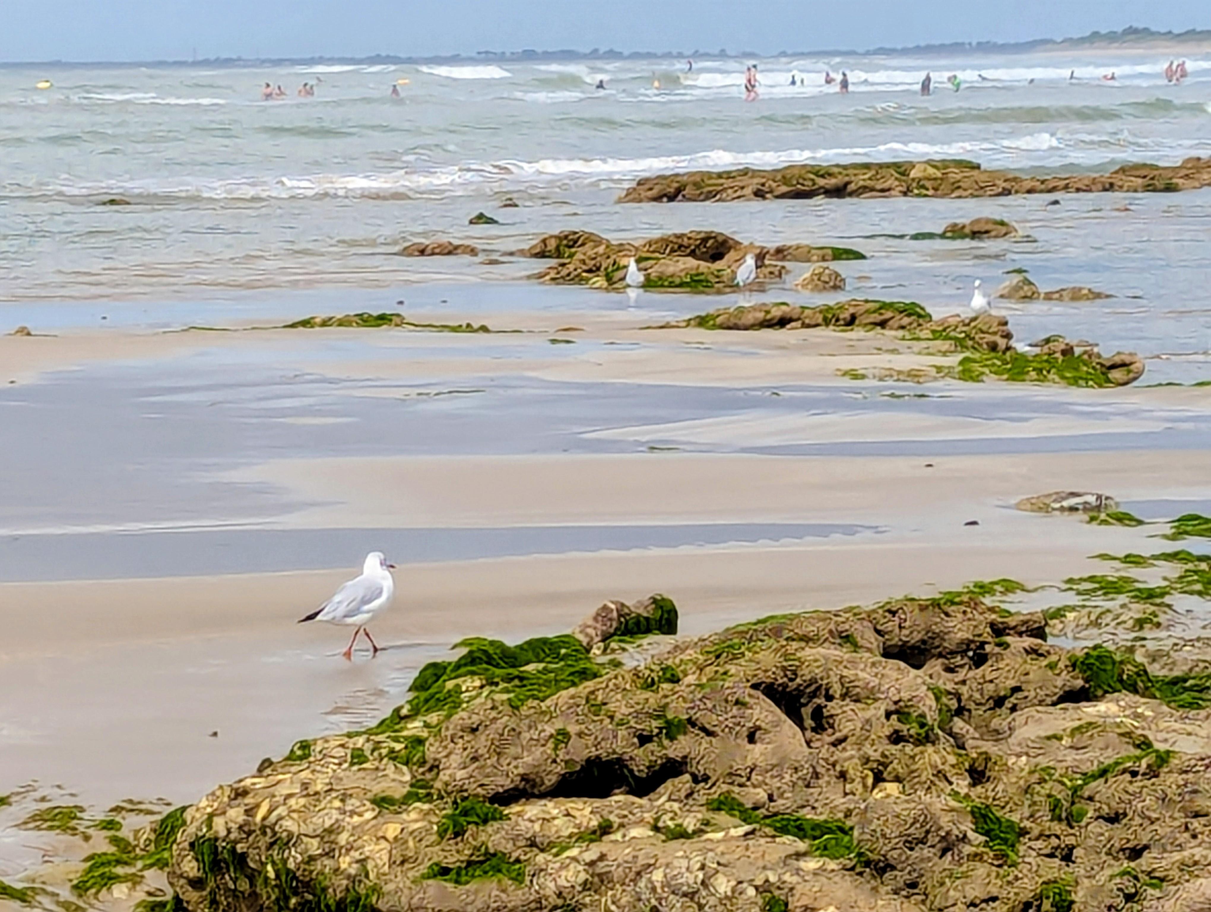 The beach with the tide out