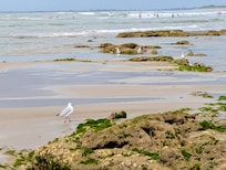 The beach with the tide out