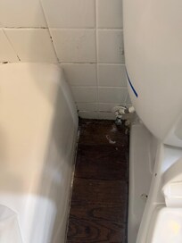 Another picture of the nasty bathroom