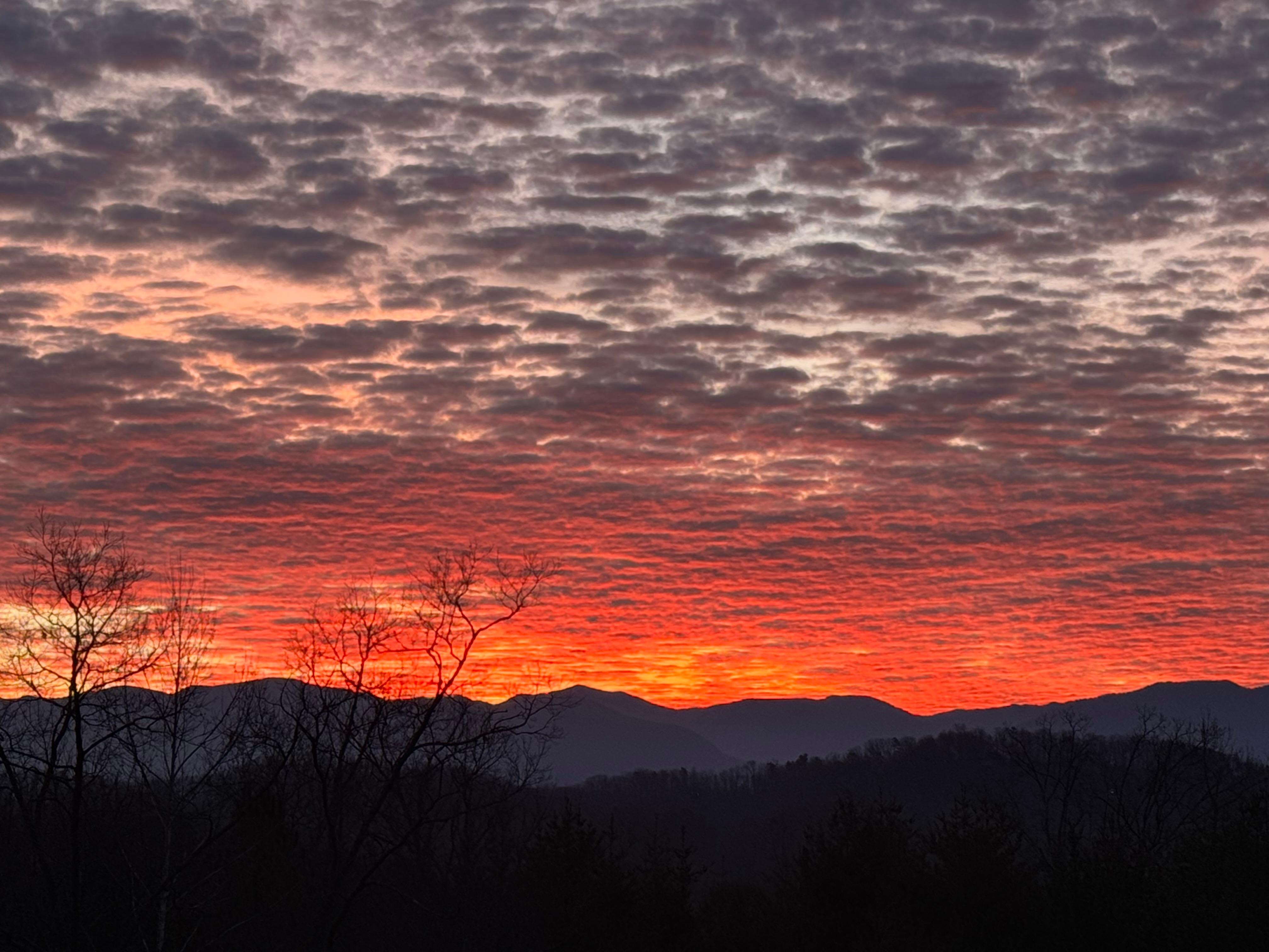 View from cabin deck 