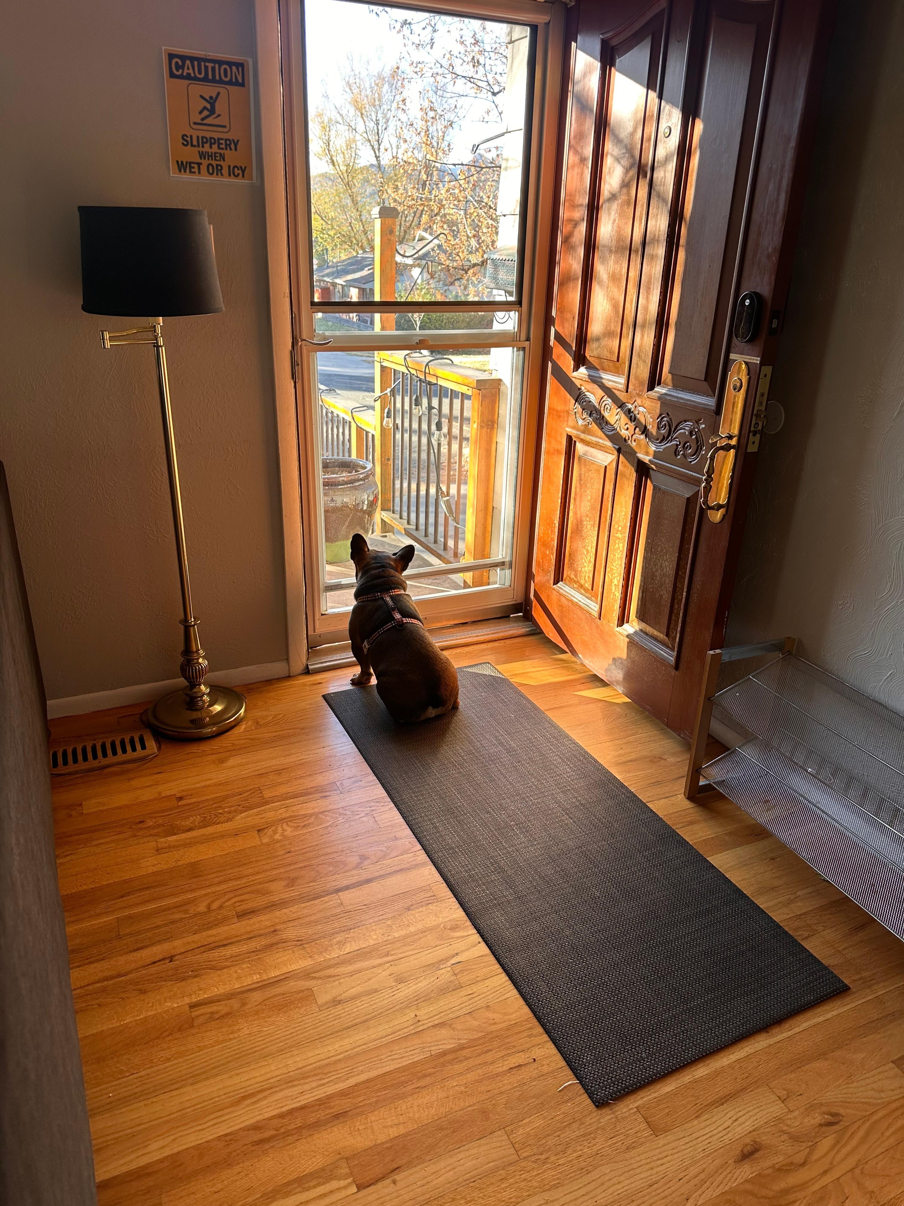 Very pet friendly except they are not allowed on the furniture.