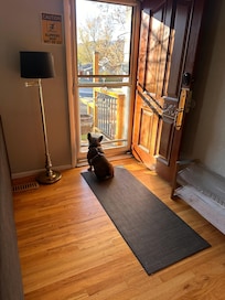 Very pet friendly except they are not allowed on the furniture.