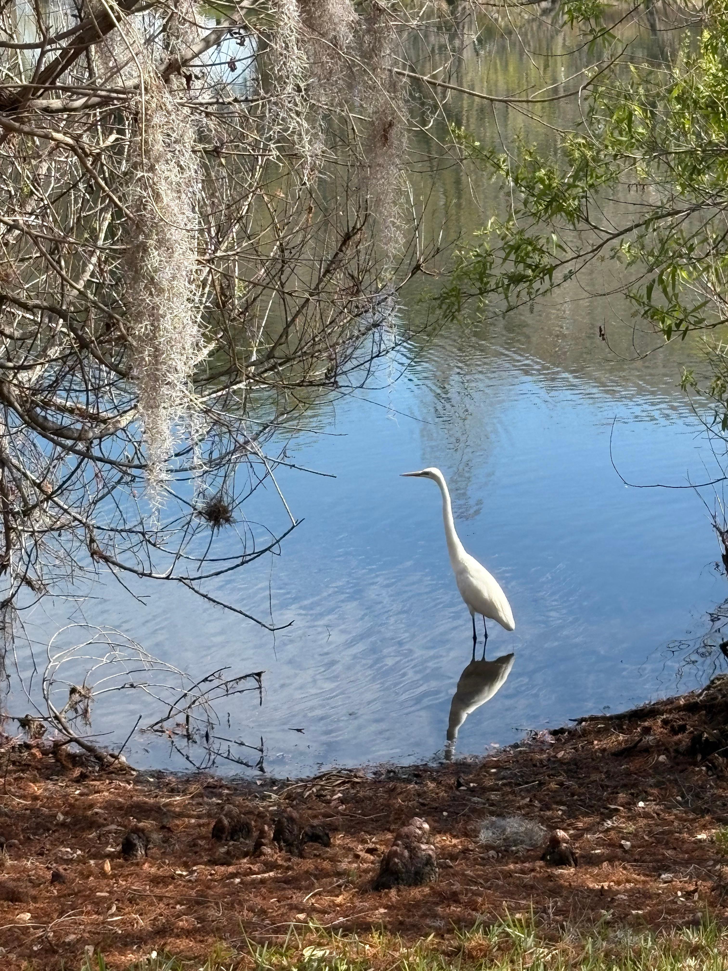 Along the nature trail. 