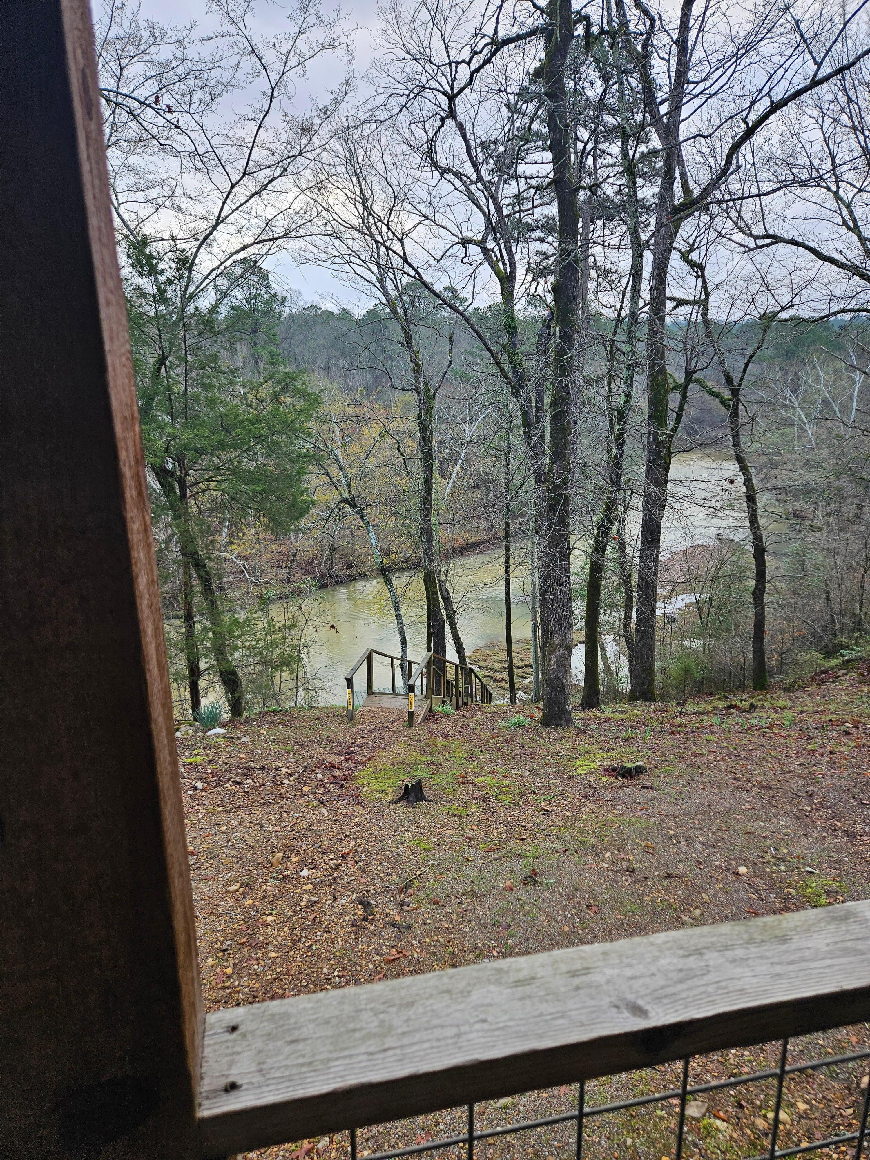 The view of the river was beautiful. 